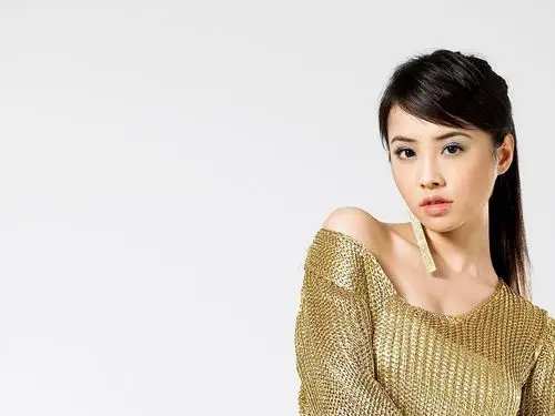 蔡依林(1024x768无水印)壁纸 1024x768 - 126k - 高清大图