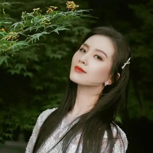 明星刘诗诗头像图片