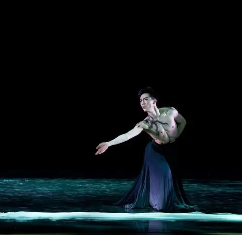 中国古典舞男子独舞《花间梦逝》舞者:韩伯辰