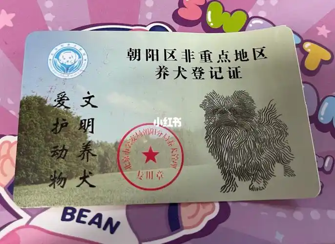 北京朝阳东坝办理狗证