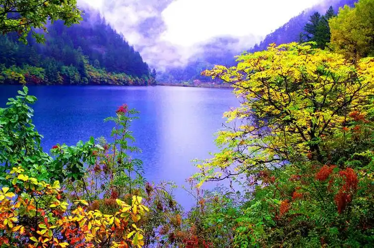 童话般的地方,美丽动人,但是却清新脱俗让人向往