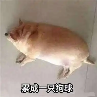 全新趣味的逗比聊天表情包大全_笑死人_包大全_表情