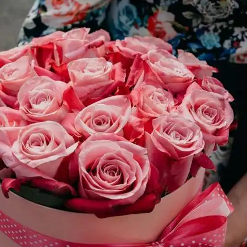 风景头像频道提供更多与惹人恋爱,粉色玫瑰,微信头像,唯美高清,相关的