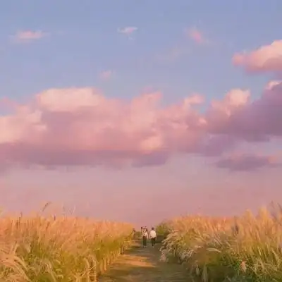 秋天最美微信风景头像大全 唯美好看带好运的头像