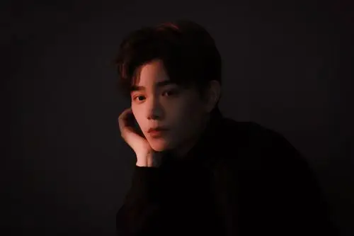 有丁禹兮的高清无水印壁纸吗