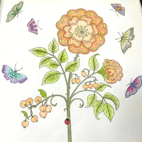 秘密花园涂色第五幅完成