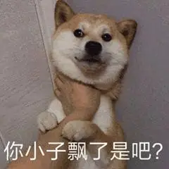 暴躁柴犬二哈土狗在线怼人表情包30张