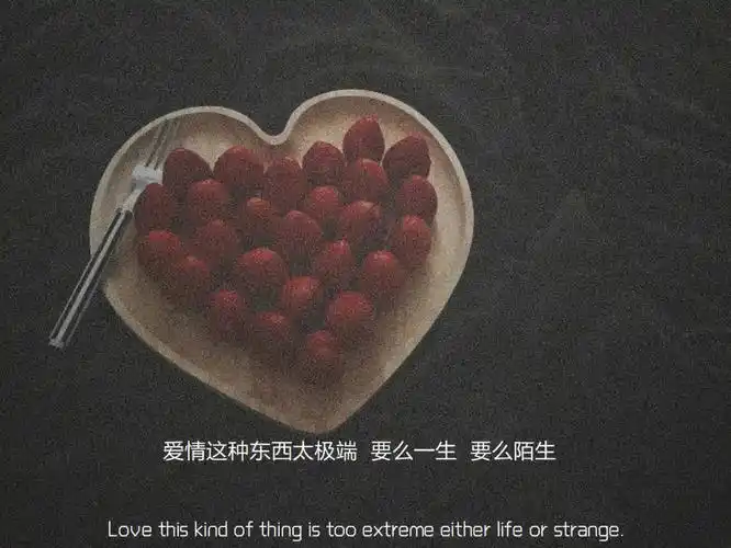 恋爱观超正的情感文案