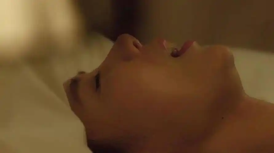 限制级电影《大鸿米店》,激情片段,未删减