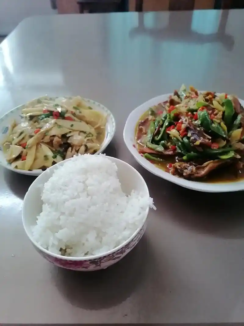 今天真呀嘛真高兴:一个人的饭菜一个人享用.