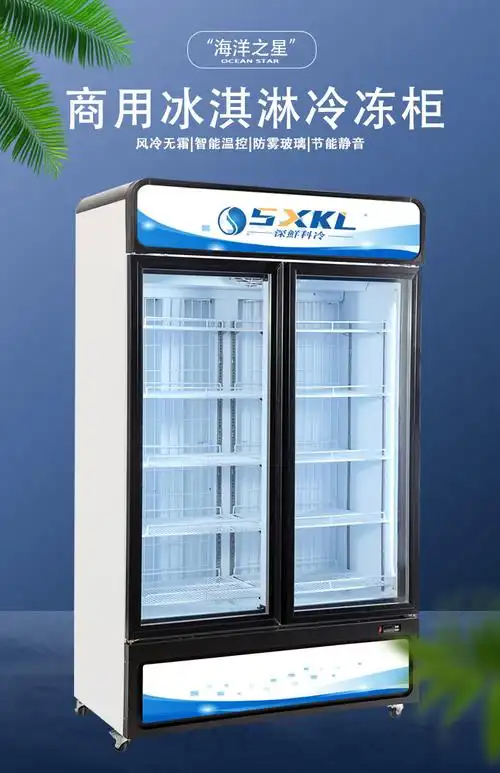 厂家批发商用低温冷冻展示柜立式大容量双门雪糕水饺冰箱急冷冻柜