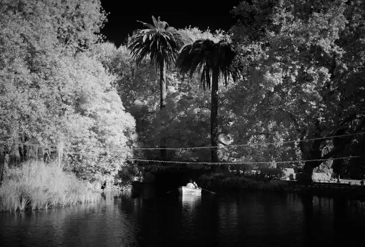 公园黑白风光图片1125x2436分辨率查看