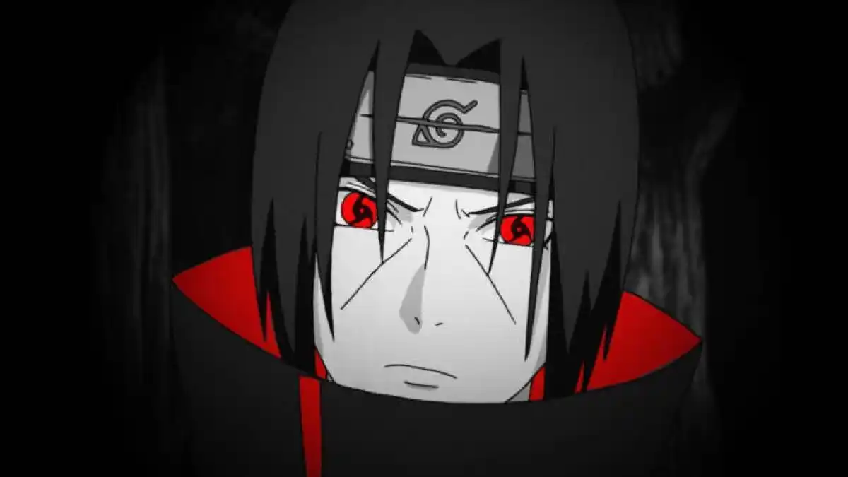 火影忍者鼬为什么说不能小看迈特凯