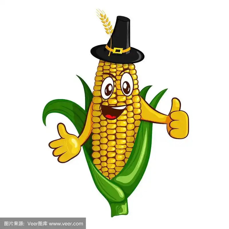 白色背景上分离的甜玉米性状矢量图