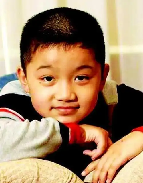 家有儿女小童星们事业之路各不相同有人爆红有人沉寂