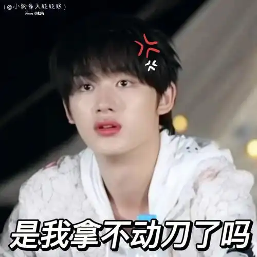 夏令营05表情包丁程鑫篇