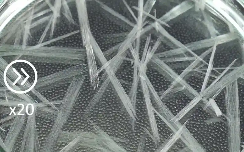 硝酸钾快速结晶实验,像神奇的魔法!