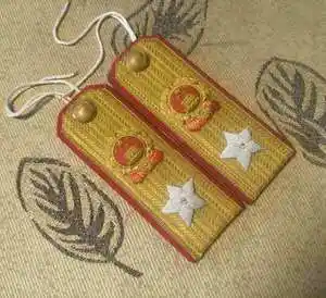 55式元帅肩章十大元帅