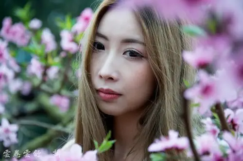 旅游] 娇女折花倚桃边-------年会作业之一