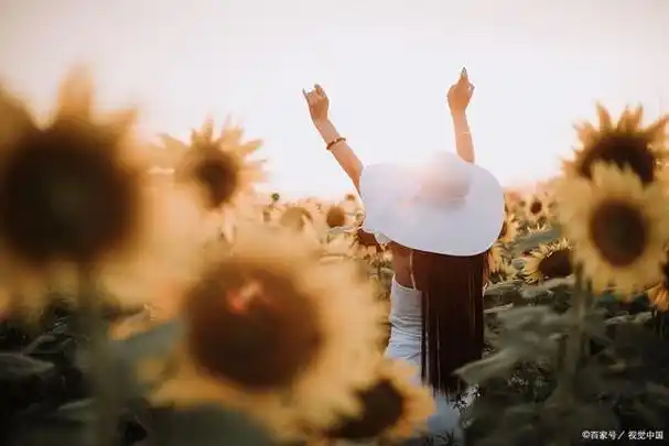 心情好的句子发朋友圈