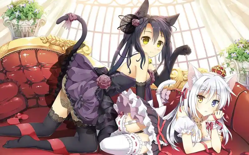 求此图的画师,或者经常画此类猫耳娘的画师