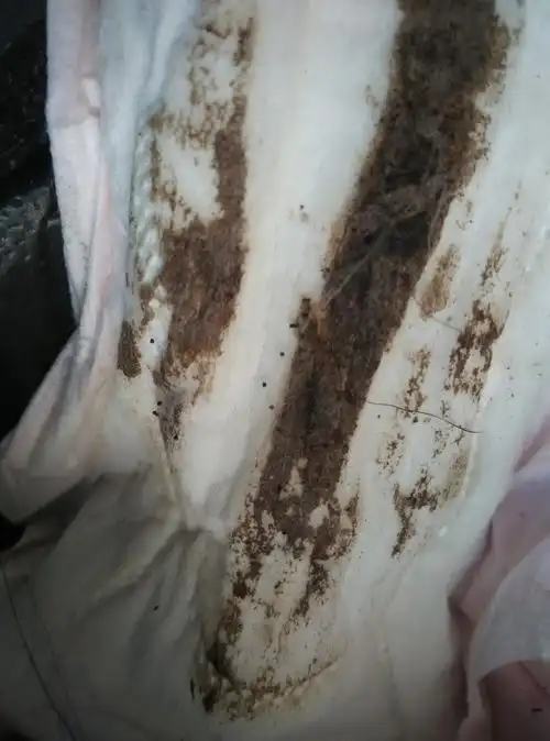 怎么月经是这个颜色的啊,而且半个多月还没完,这到底是月经不调还是药