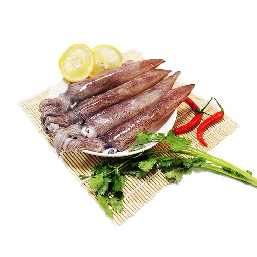 海捕新鲜活冻火箭鱿鱼笔管鱿鱼枪乌贼红鱿海兔吹筒仔小管仔锁