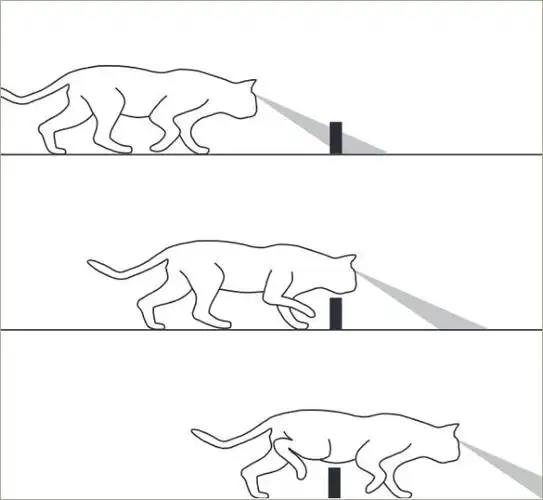 01. 猫咪走路不会被绊倒