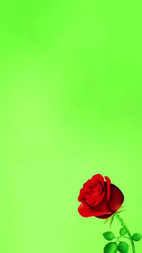 上热门抖音网红推荐今夏抖音最靓的仔全网最帅剪映抖音出品