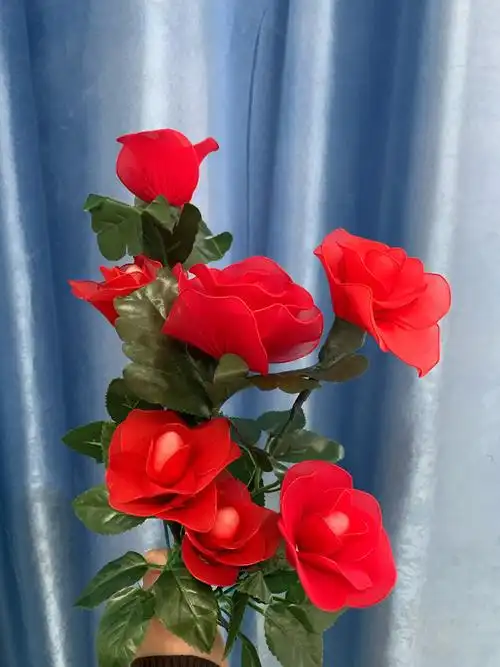 红玫瑰还是保加利亚的国花,有着尊贵的身份象征.