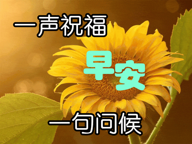 1月8日,最漂亮早上好动态表情图片大全,早晨好美图大全_祝福