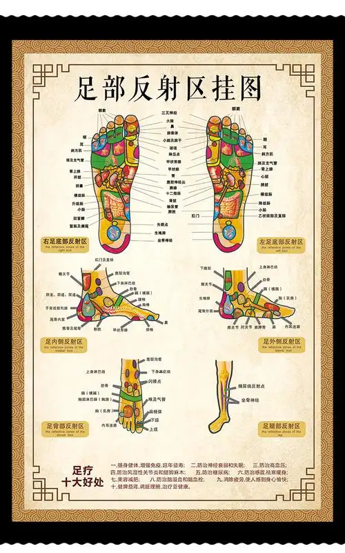 人体足底按摩穴位图足部反射区挂图片足疗脚底中医养生美容院海报横版