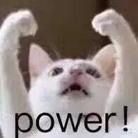 相爱必相杀知名表情包power小猫的互殴日常