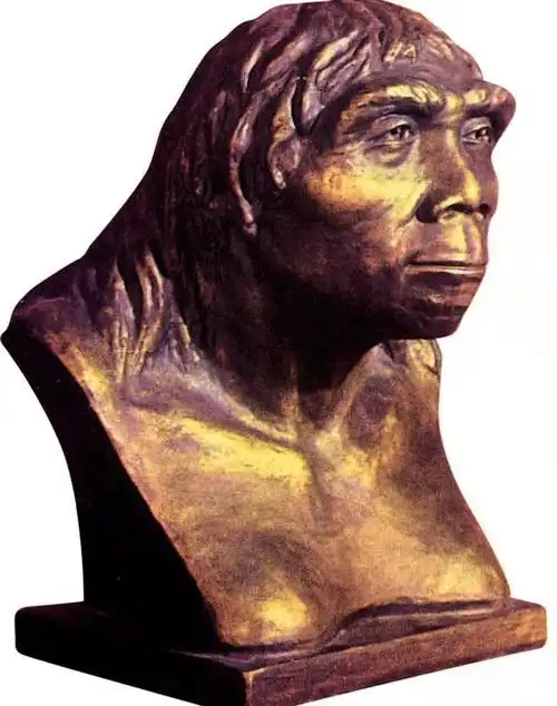 我国最早的原始人类