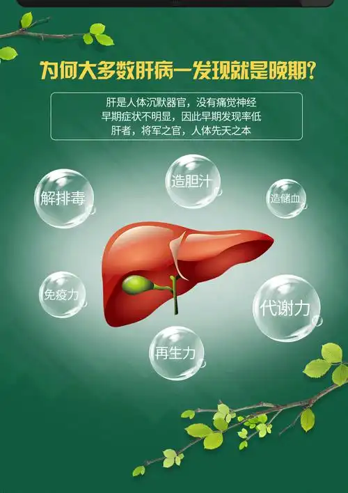 17年6月】江中肝纯片 护肝片藤茶解酒养肝熬夜应酬喝酒醒酒后保肝