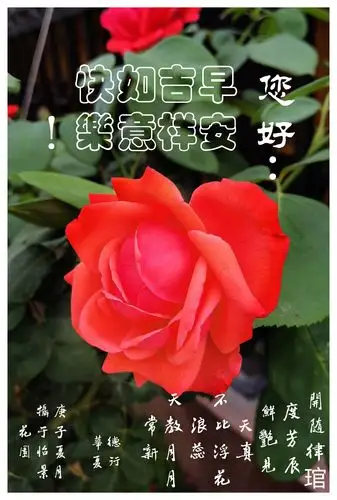 幸福快乐! ——问候祝福语图片集锦 (一)