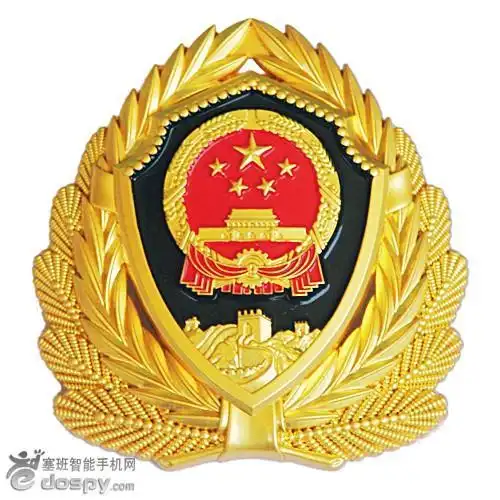 武警的帽徽是什么?