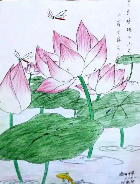 儿童荷花水彩画 儿童荷花水彩画教程 - 水彩迷