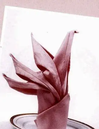 餐巾的折花大全