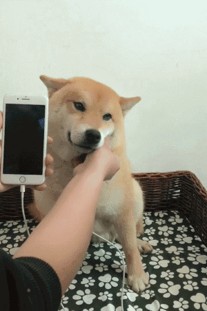 300_450竖版 竖屏gif 动态图 动图