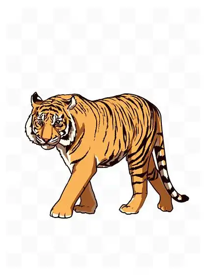 手绘 i>卡 /i> i>通 /i>威猛老虎