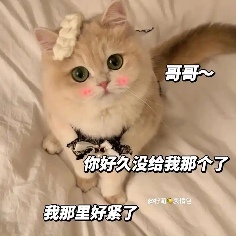 紧紧紧～ #猫咪表情包 #发给对象表情包 #艾特你想要艾特的人