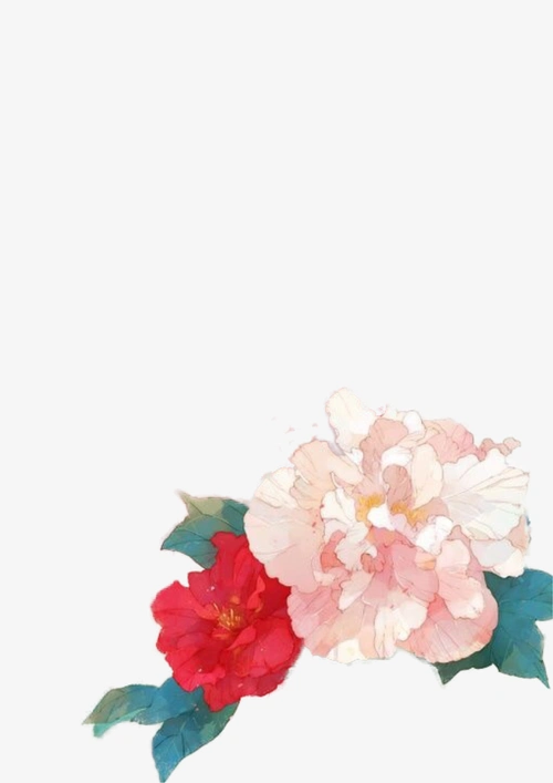 唯美古风水彩芙蓉花