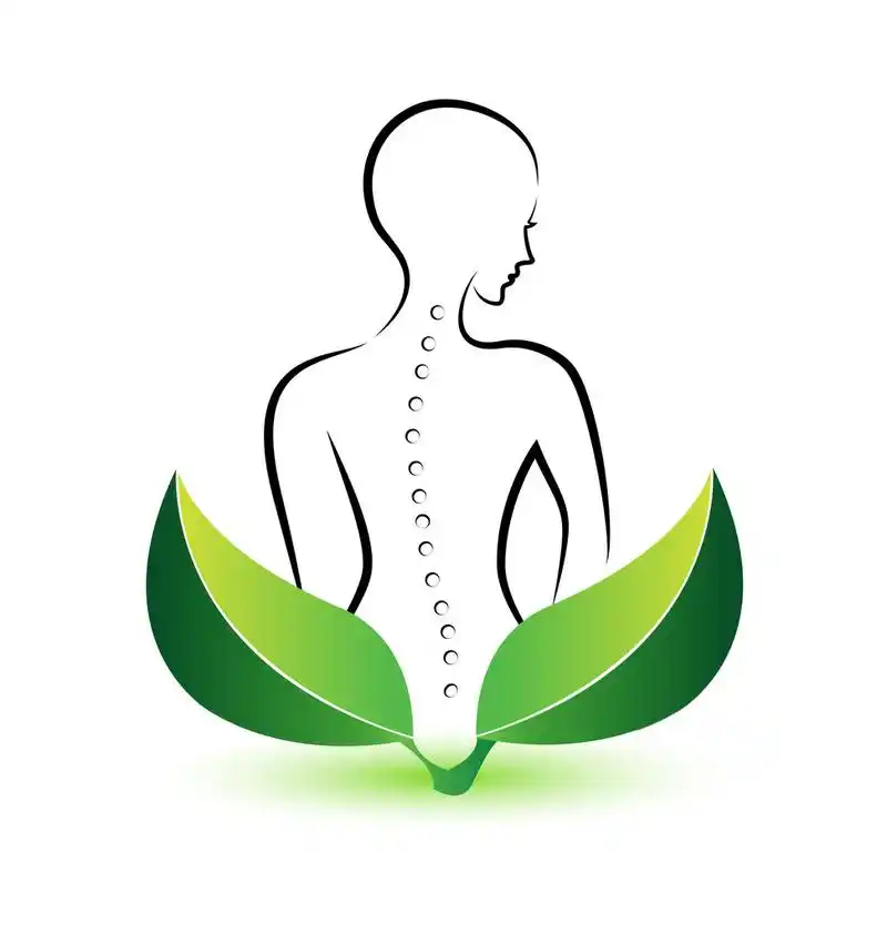 人体脊柱标志矢量,人体脊柱标志矢量