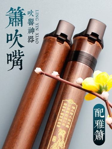 洞箫基础古风演奏专业调吹零基助吹乐器紫竹箫