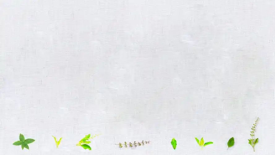 绿叶 藤蔓底边修饰小清新麻布高清背景