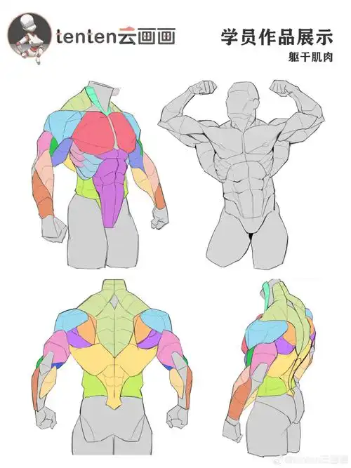 画画##tenten云画画##肌肉##画画的日常