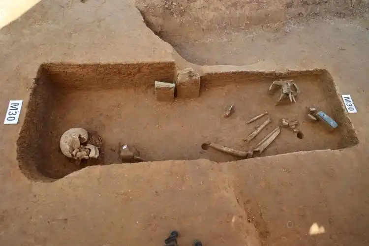 郑州商城遗址发现商代中期高等级贵族墓葬区