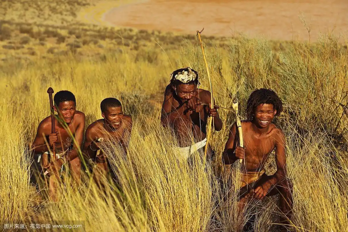 狩猎的桑族人布须曼人,位于南非北开普喀拉哈里或克拉加迪越境公园的
