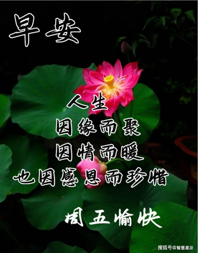 2021年7月9日星期五早上好问候祝福动态表情图片 最新早安问候语动态